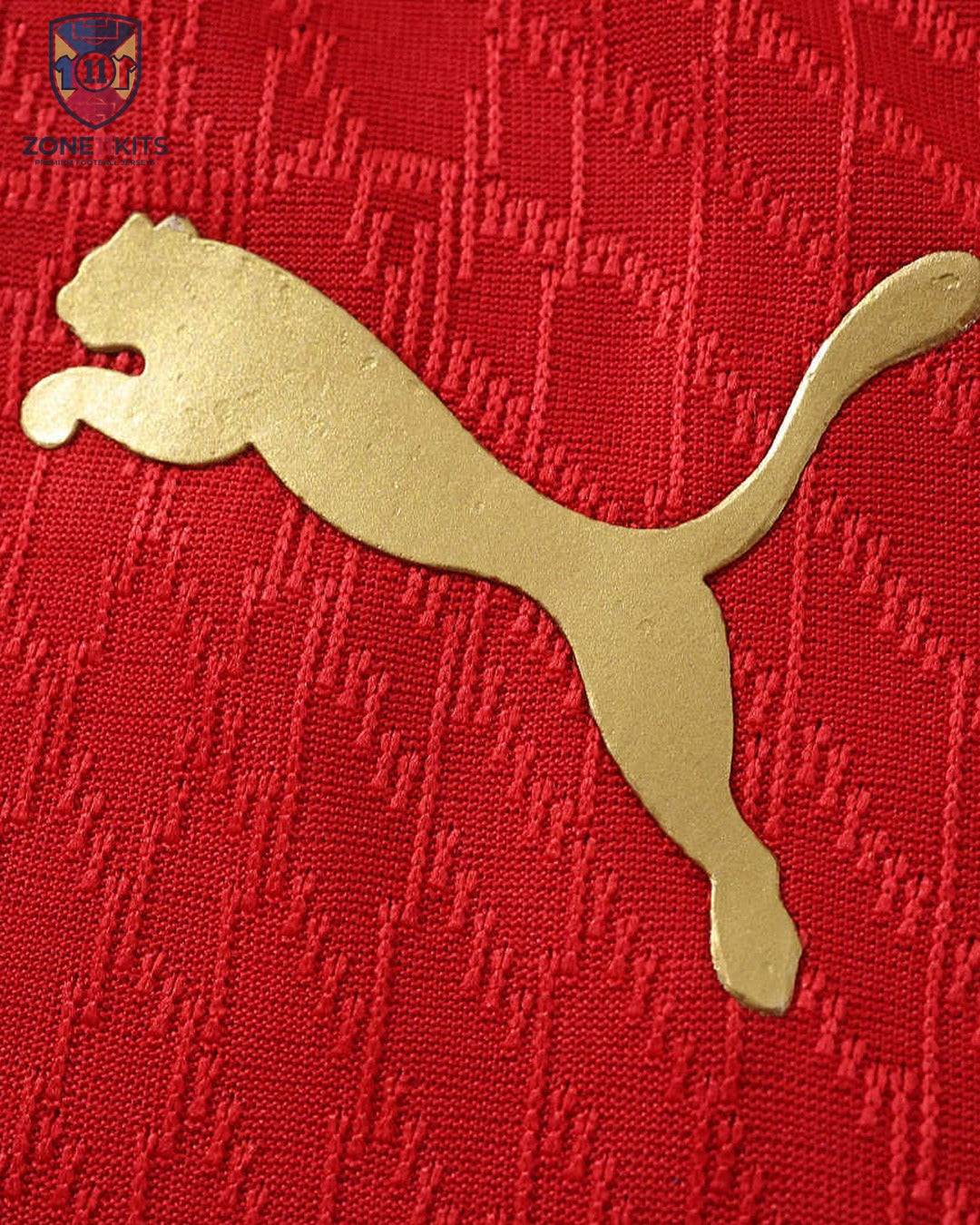 Morocco Home Kit | World Cup 2026 | Puma | Pro Version