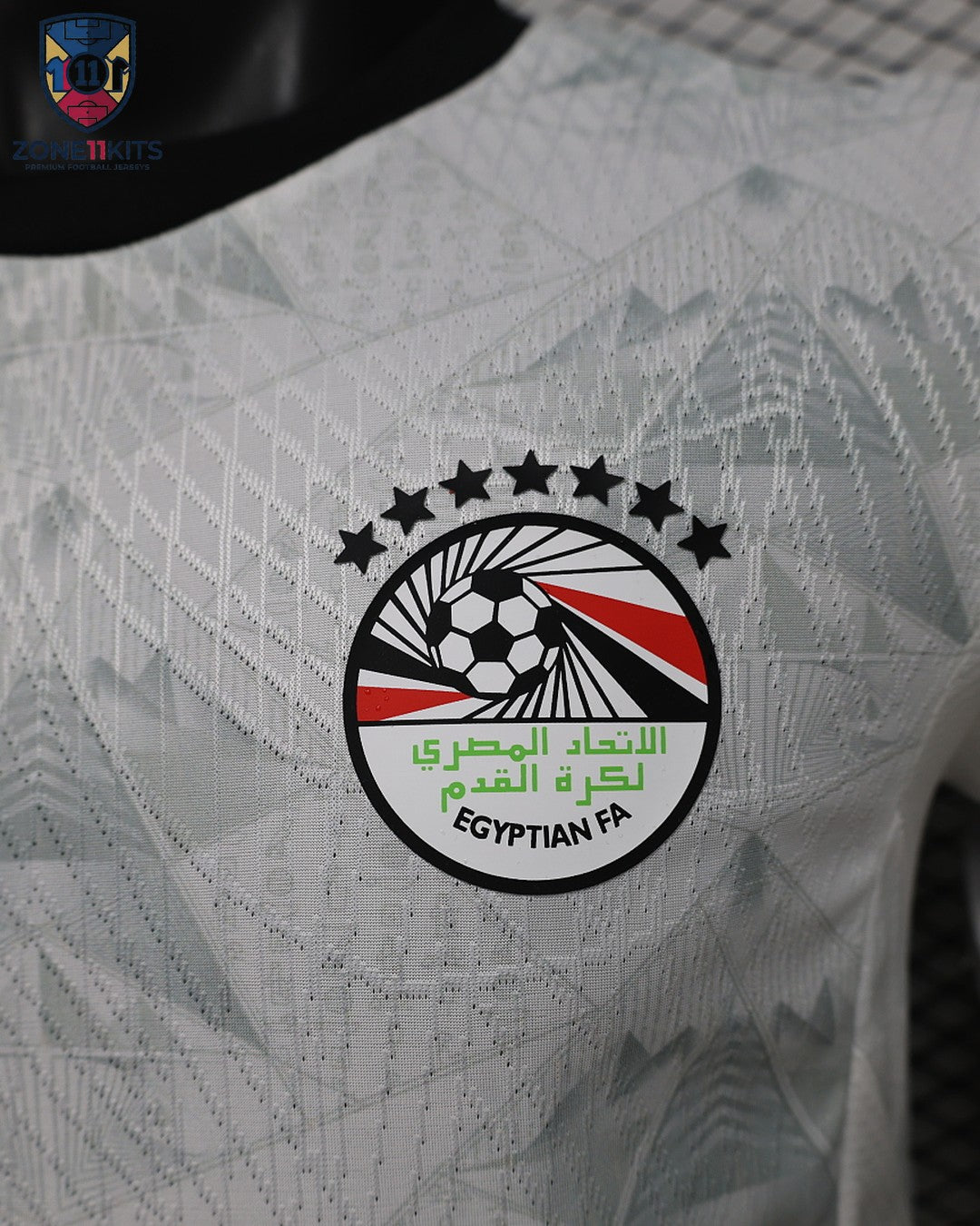 Égypte Maillot Extérieur 2026/27 Puma Player Version Pharaons - Vue 9